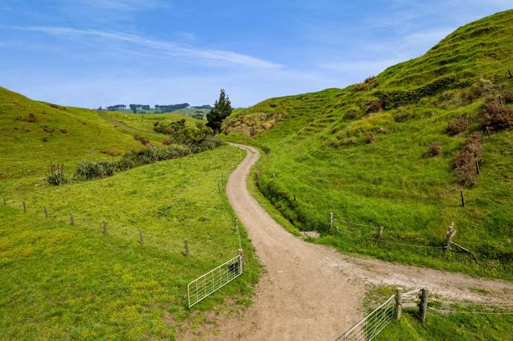78A Waitoetoe Road Urenui_19
