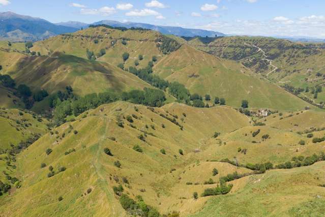 131 Rangitane Road Mangaweka_4