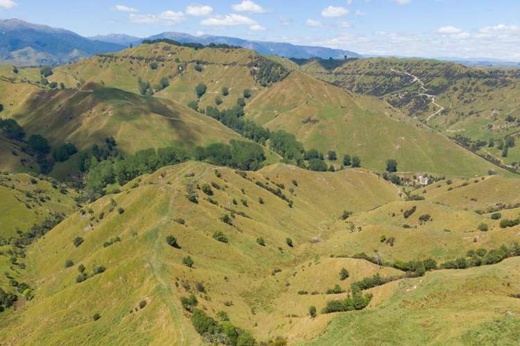 131 Rangitane Road Mangaweka_4