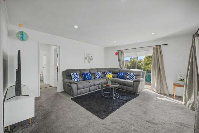 201A White Swan Road Mount Roskill_2