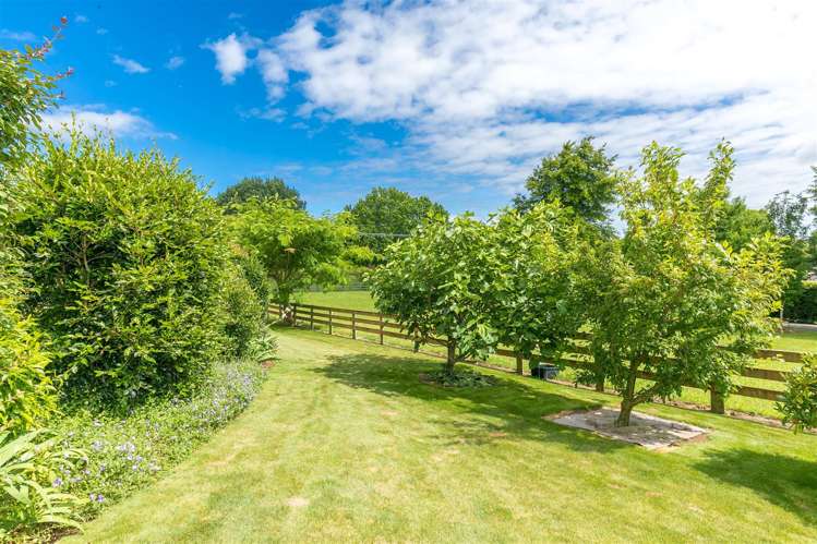 912 Bond Road Te Awamutu_23