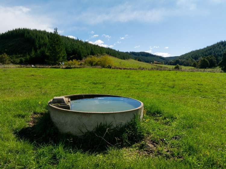 229 Teapot Valley Road Brightwater_13