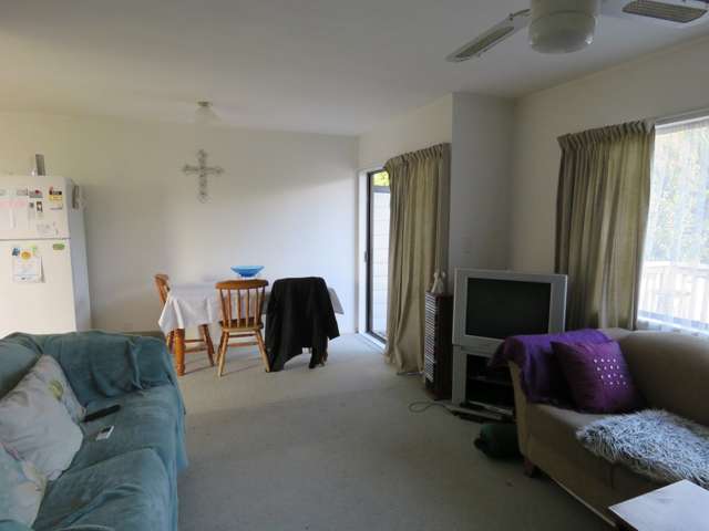 25a Martyn Street Waiuku_2