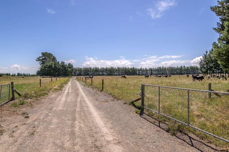 215 Harmans Road Leeston_16