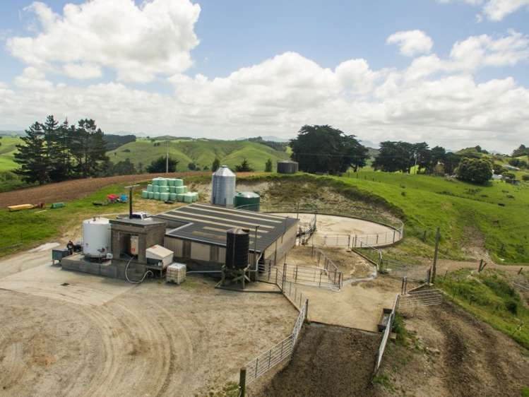 38 Birch Road Ruawai_13