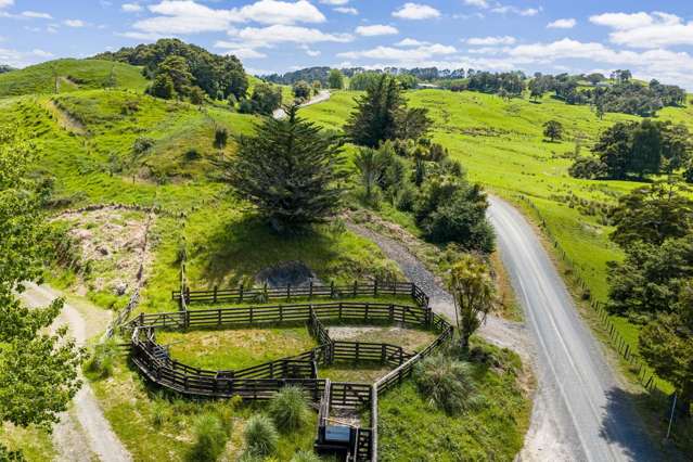 278 Griffin Road Maungaturoto_4