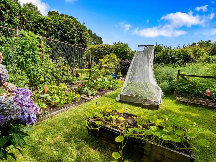 322 Te Puke Highway Papamoa_17