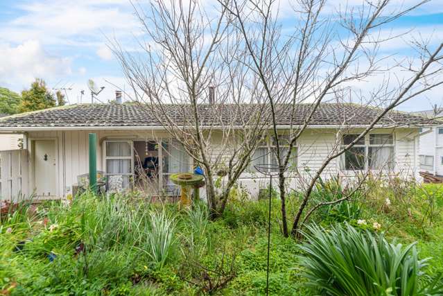 77 Boyce Avenue Mount Roskill_3