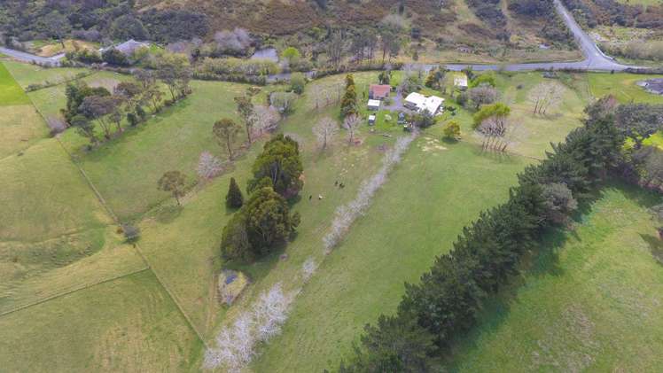 471 Horseshoe Bush Road Dairy Flat_20