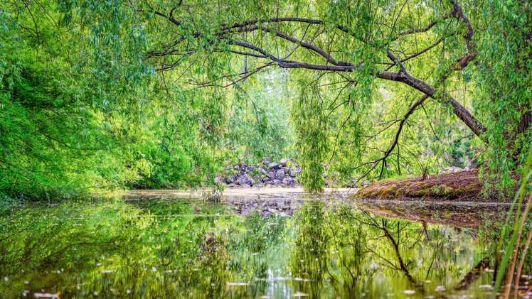 851 Ridge Road Riverhead_5