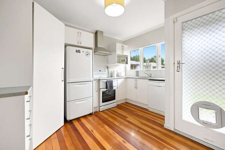 53 Ascot Road Chartwell_5