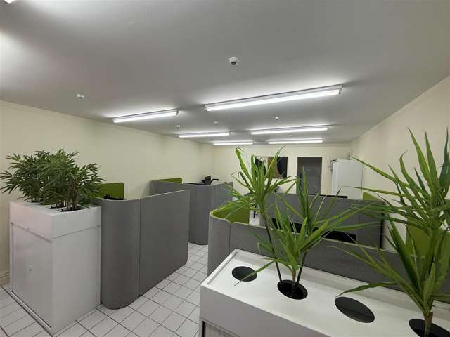 15 Edward Street Te Aro_2