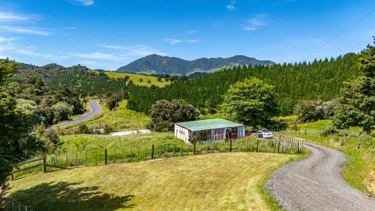 386 Pawarenga Road Broadwood_25