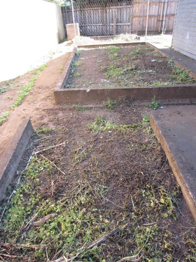 12 Coral Crescent Panmure_8