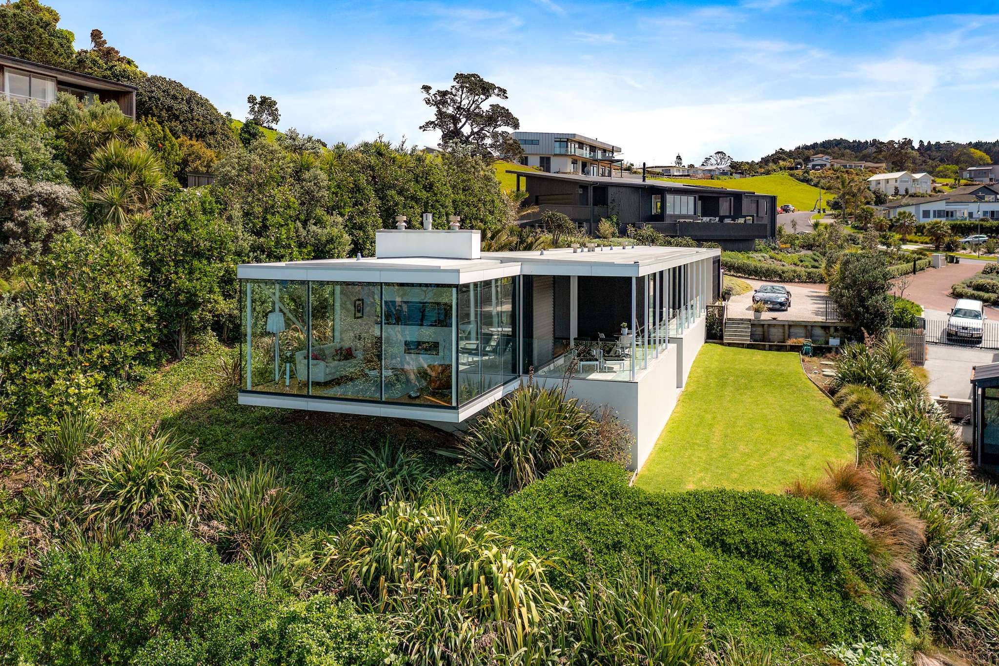 Whale-watch from your sitting room