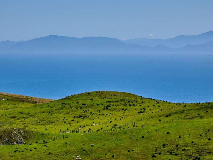 Lot 1 and 4 320 Boom Rock Road Ohariu Valley_4