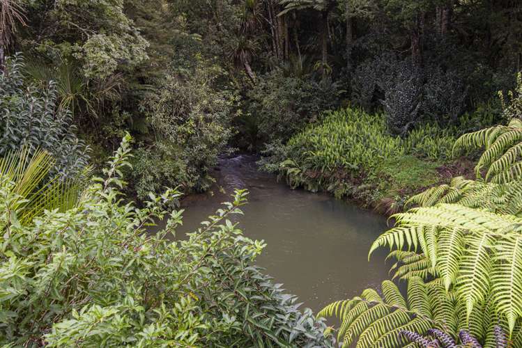 384 Kara Road Maungatapere_28