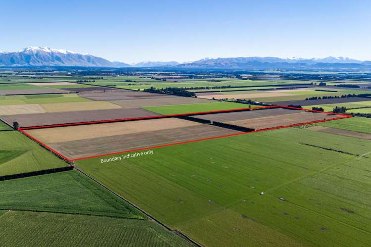 1234 Back Track Ashburton_16