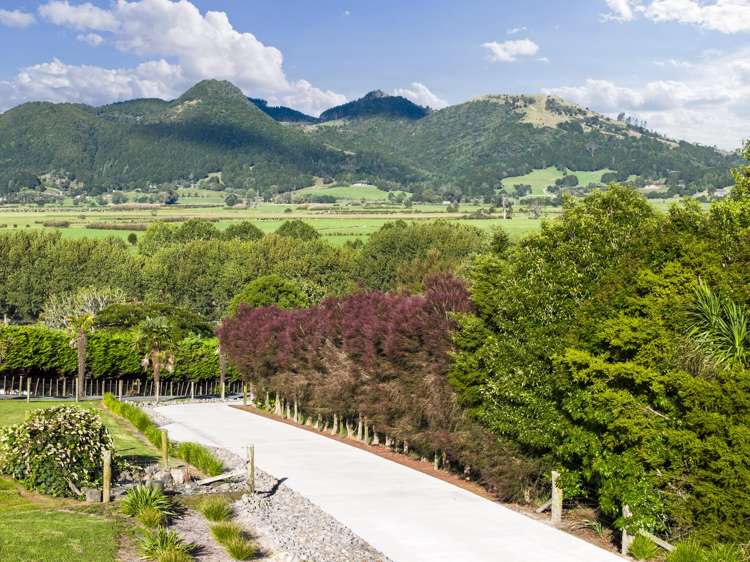 45C Finlayson Road Matarau_16