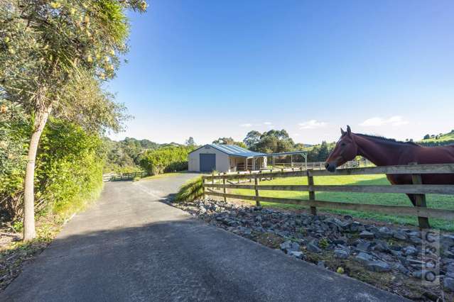 208B Glenmore Road Coatesville_1