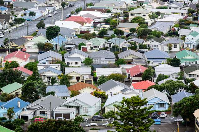 Tony Alexander: Where buyers are in a panic about house prices