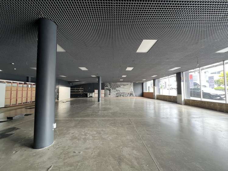 181 Vivian Street Te Aro_0