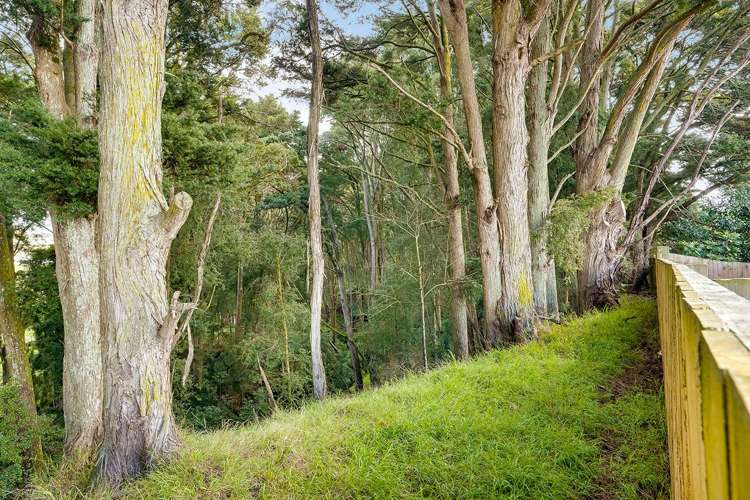 15C Anzac Avenue Morrinsville_19