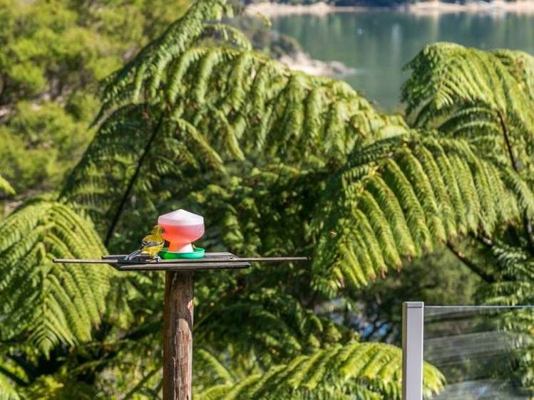 98 Moetapu Bay Road Anakiwa and Surrounds_16