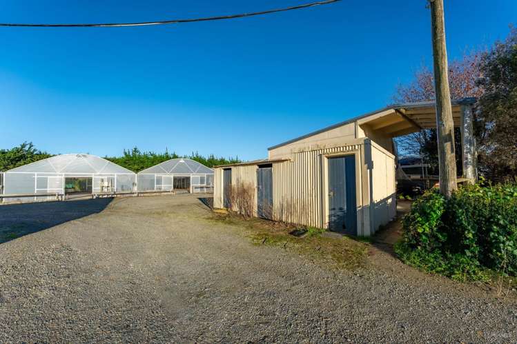 24 Horsnells Road, Morven Waimate_7