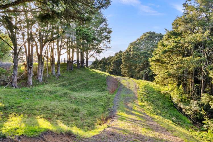 389A Crane Road Kauri_8