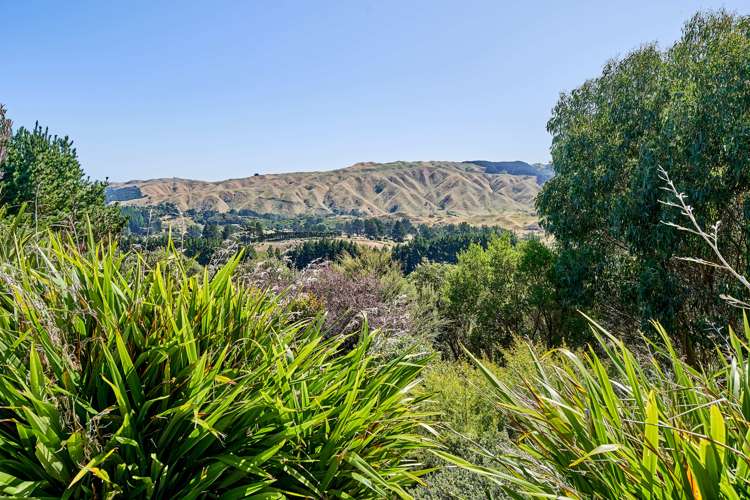 412 Flightys Road Judgeford_25