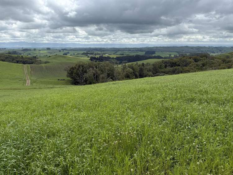 Taotaoroa Road Karapiro_25