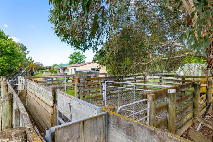 1944 State Highway 63 Wairau Valley_16