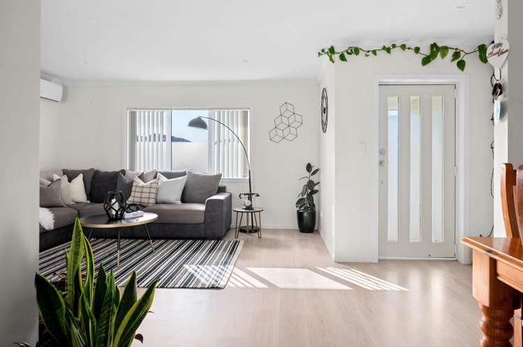 12 Briannarose Drive Fitzroy_1