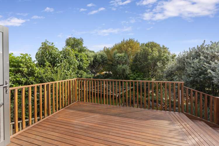 65 Lemon Street New Plymouth Central_5