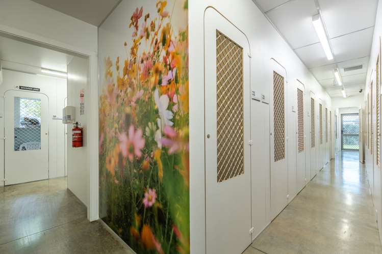 740 Main Road Stoke Stoke_17