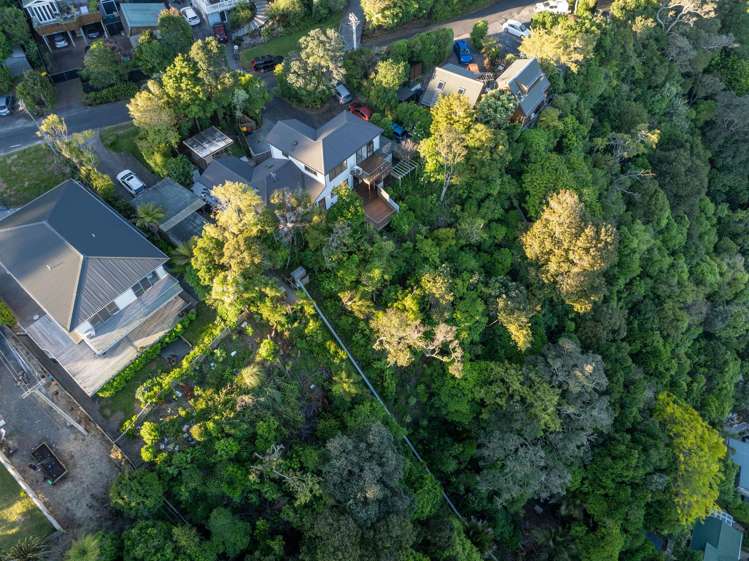 45 Pohutukawa Avenue Shelly Park_31