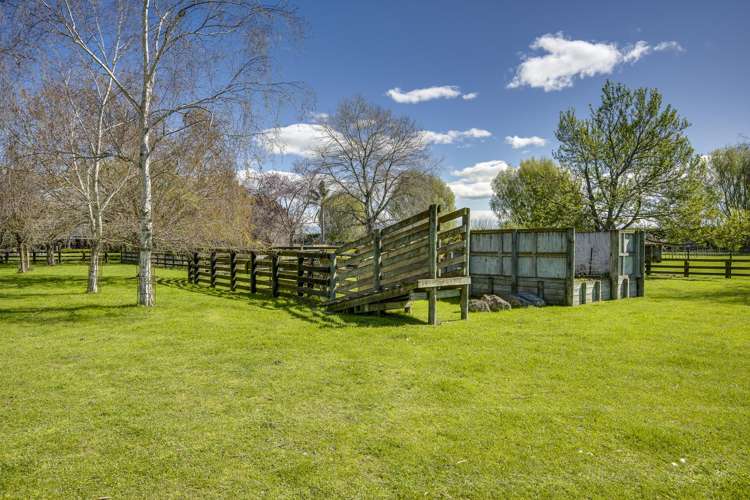 144 Longlands Road Longlands_18