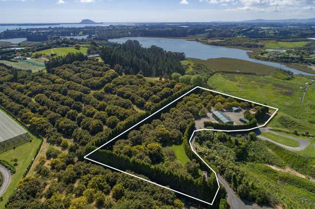 56g Plummers Point Road Whakamarama_1