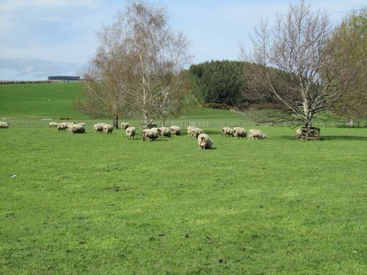 1983 Ohai Clifden Highway Otautau_30