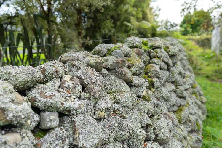 118 Gladstone Road Levin_16