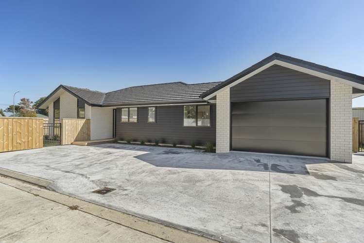 45A Princess Street Waitara_24