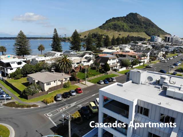 8/19 Victoria Road Mount Maunganui_1