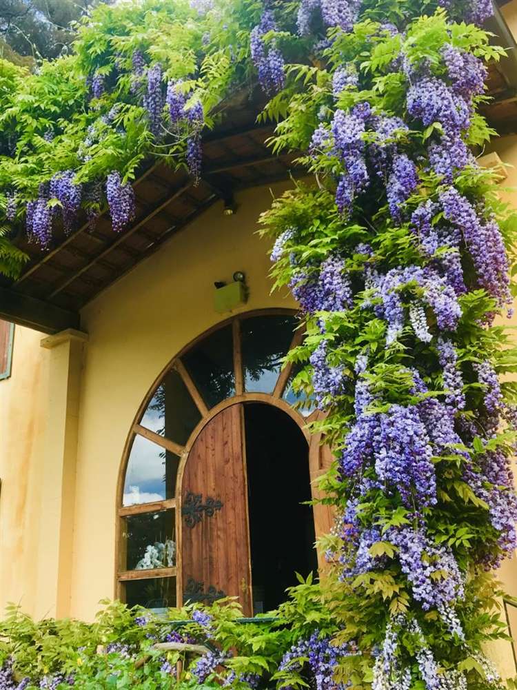 12 Winery Road French Farm_2