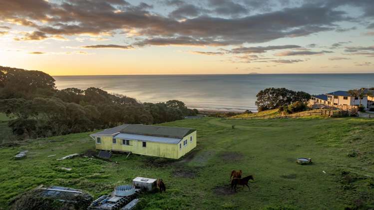 Address withheld Waiotahe_8