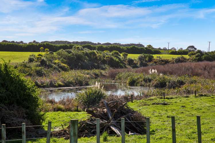 2585 South Road Otakeho_9