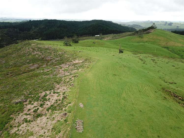 State Highway One Taupo_17