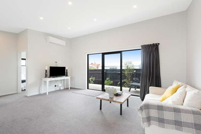 33a Keepa Street Levin_3