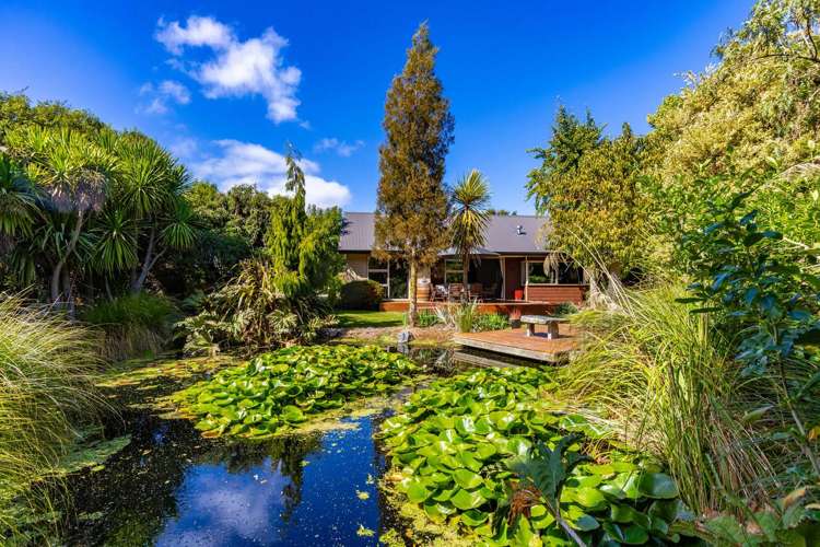 4A Vickerman Street Grovetown_16