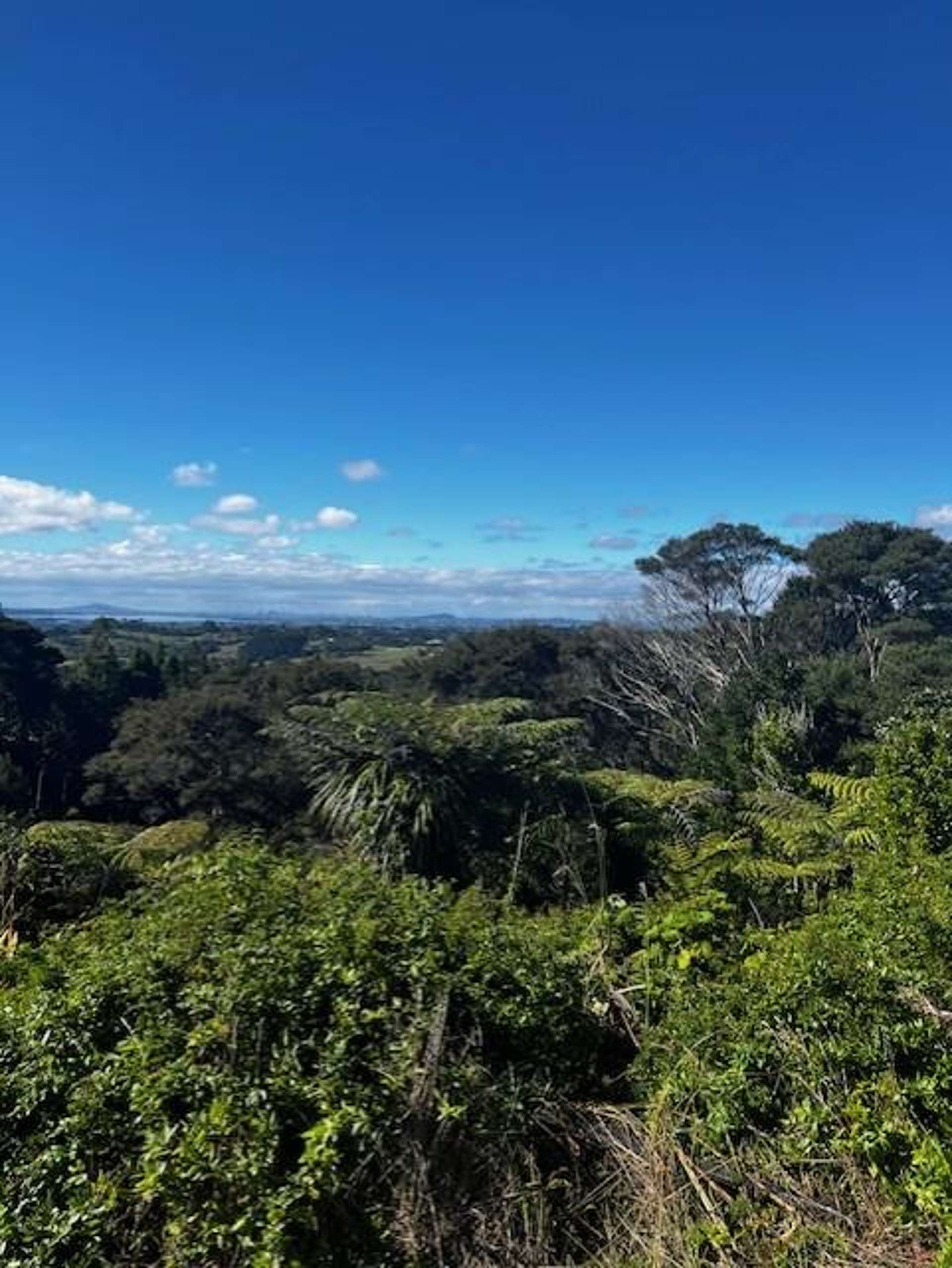 50 Kitewaho Road Swanson_0